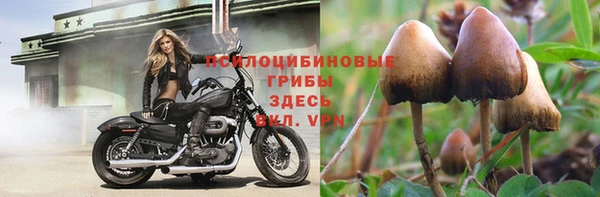первитин Медногорск