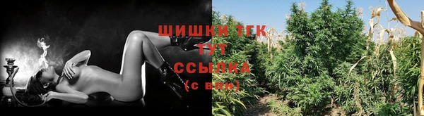 mdpv Мегион