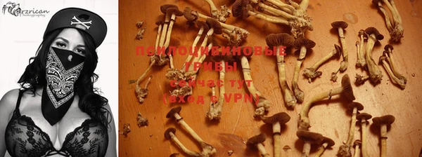 сатива Медвежьегорск