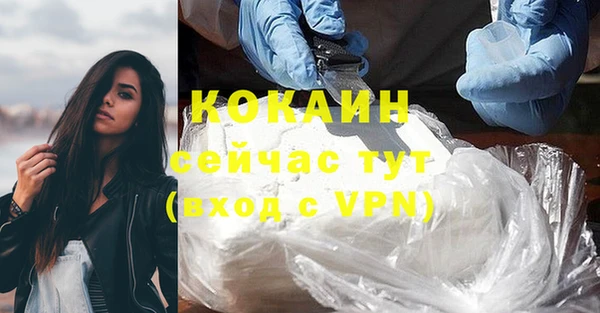 сатива Медвежьегорск