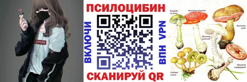 mega вход  Усть-Лабинск  Псилоцибиновые грибы Psilocybe 